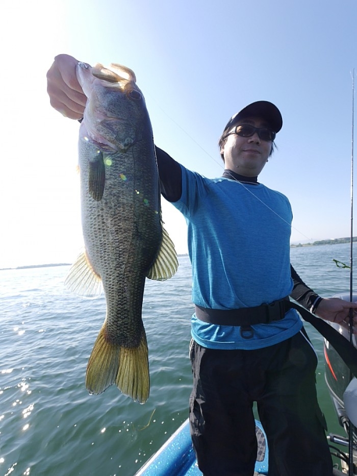 truth ブログ写真 2017/06/20