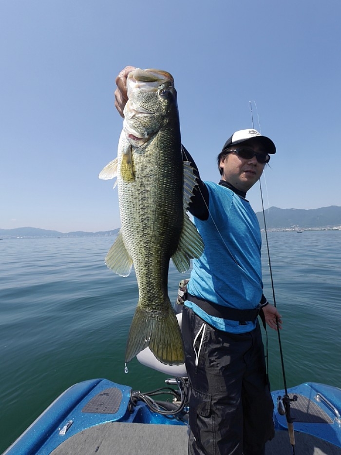 truth ブログ写真 2017/06/20