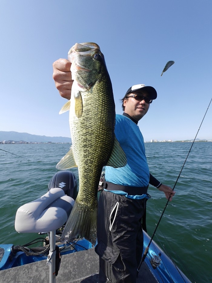 truth ブログ写真 2017/06/20