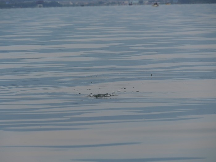 truth ブログ写真 2017/06/21