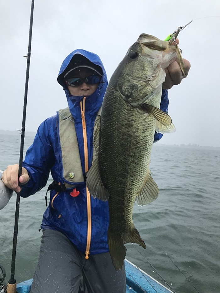 truth ブログ写真 2017/06/21