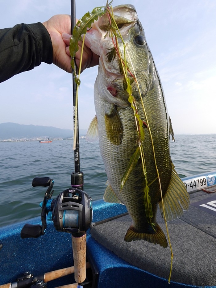 truth  ブログ写真 2017/06/24