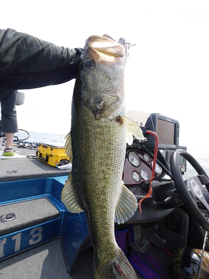 truth  ブログ写真 2017/06/24