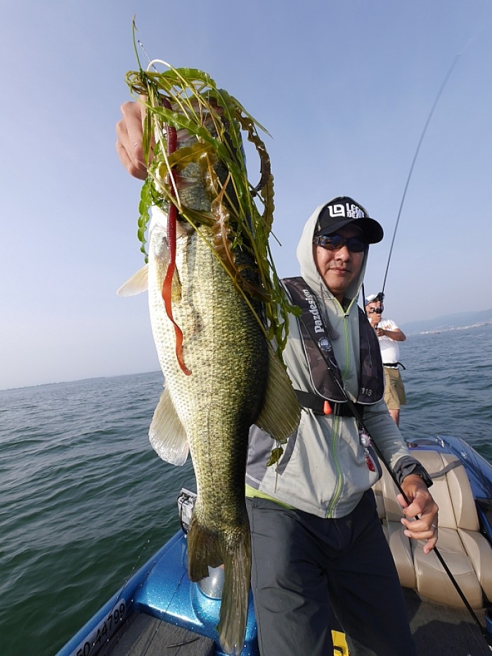 truth  ブログ写真 2017/06/24