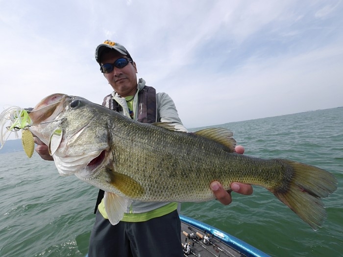 truth  ブログ写真 2017/06/24