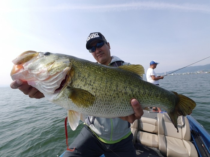 truth  繝悶Ο繧ｰ蜀咏悄 2017/06/24