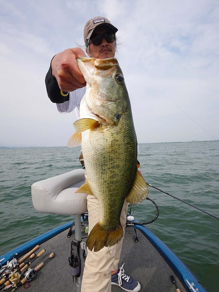 truth  ブログ写真 2017/06/27