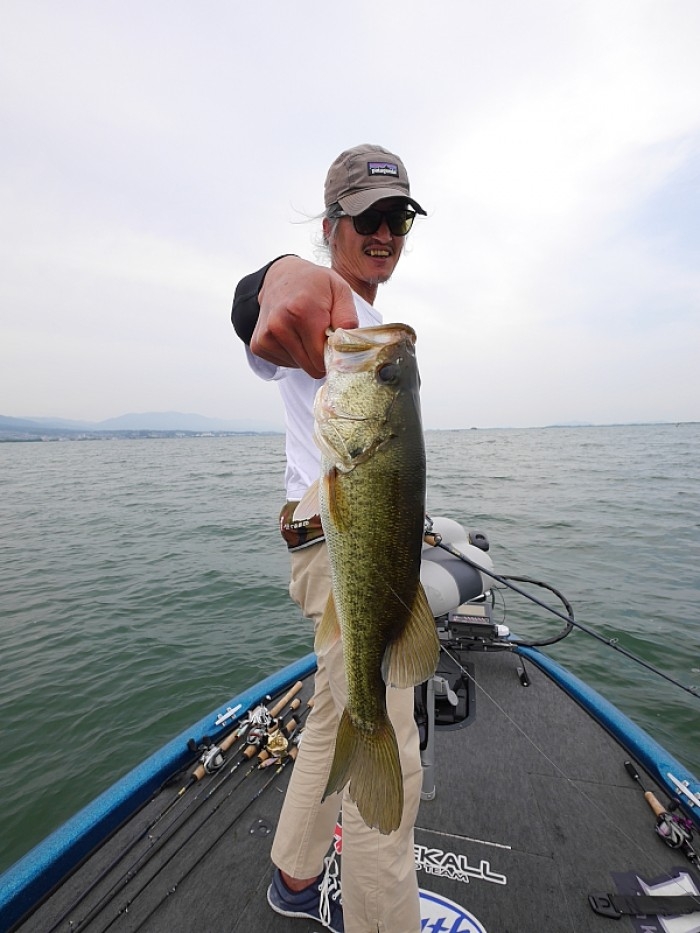 truth  ブログ写真 2017/06/27