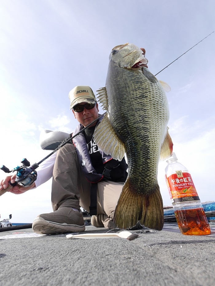 truth  ブログ写真 2017/06/27