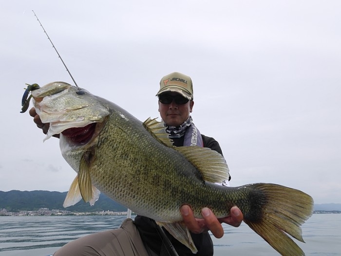 truth  ブログ写真 2017/06/27