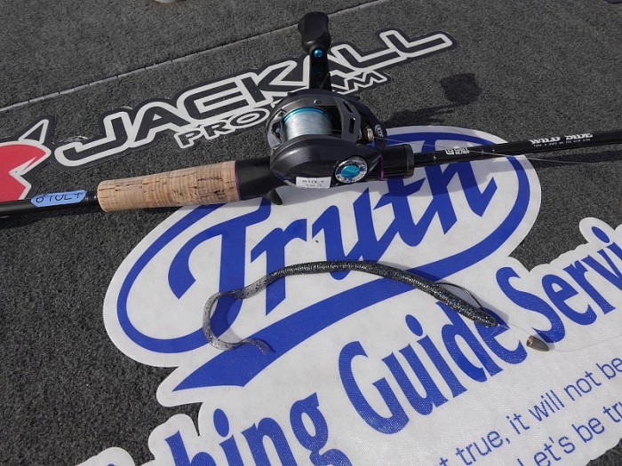 truth  ブログ写真 2017/06/27