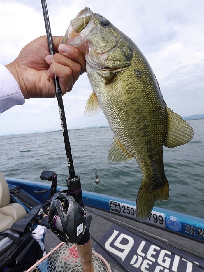 truth  ブログ写真 2017/06/27