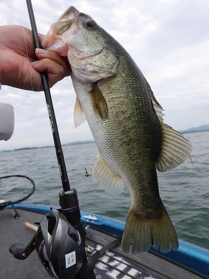 truth  ブログ写真 2017/06/27