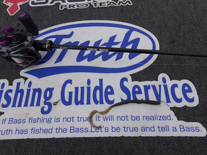 truth  ブログ写真 2017/06/27