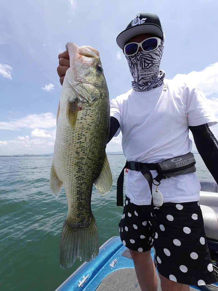 truth  ブログ写真 2017/07/07