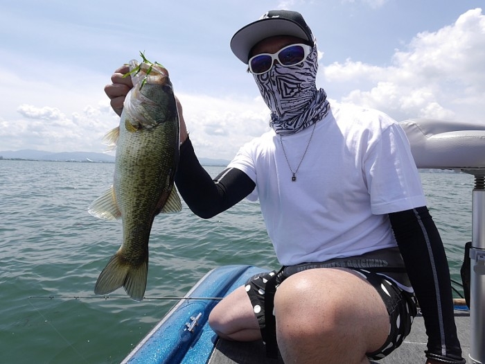 truth  ブログ写真 2017/07/07