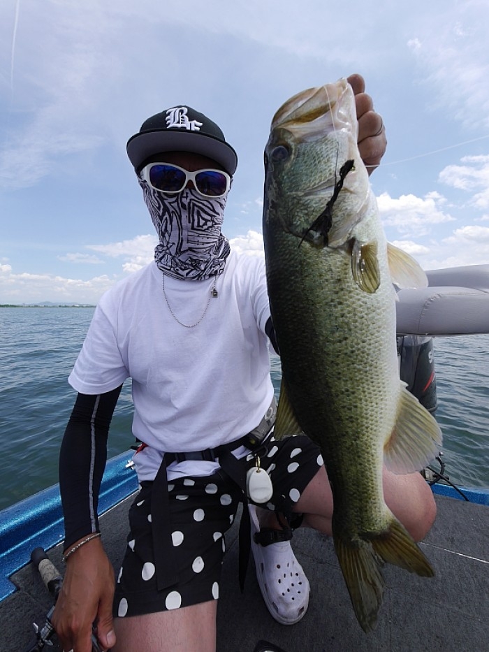 truth  ブログ写真 2017/07/07