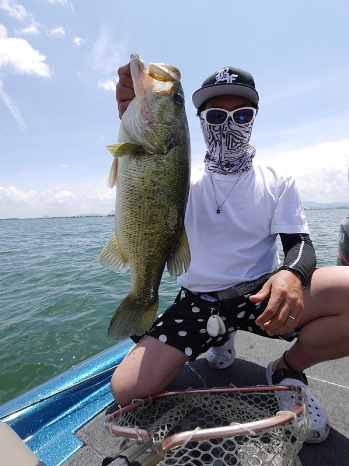 truth  ブログ写真 2017/07/07