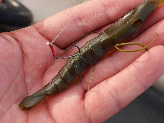 truth  ブログ写真 2017/07/07