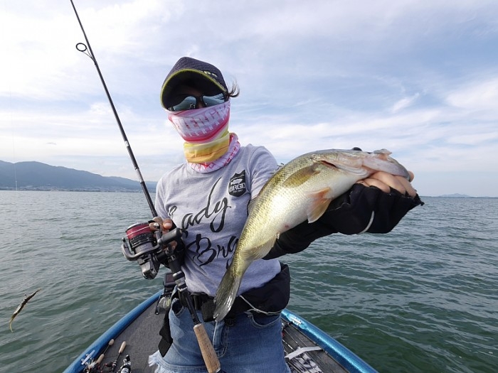 truth  ブログ写真 2017/07/07