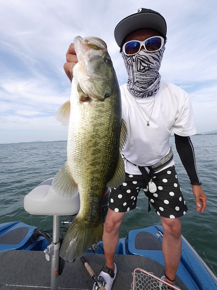 truth  ブログ写真 2017/07/07