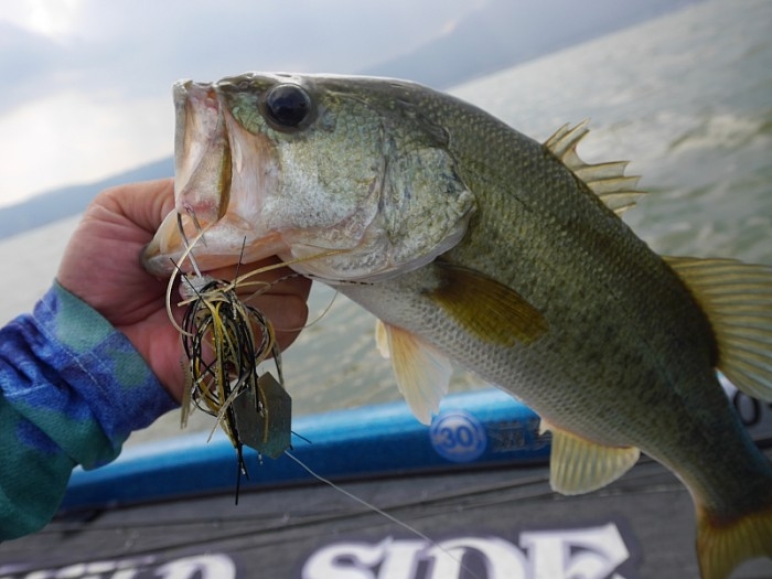 truth  ブログ写真 2017/07/08