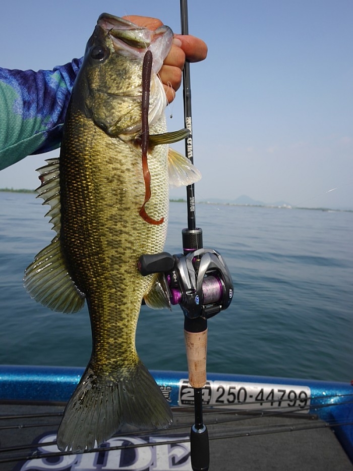 truth  ブログ写真 2017/07/08