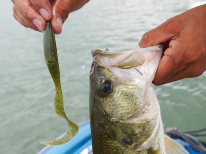 truth ブログ写真 2017/07/11