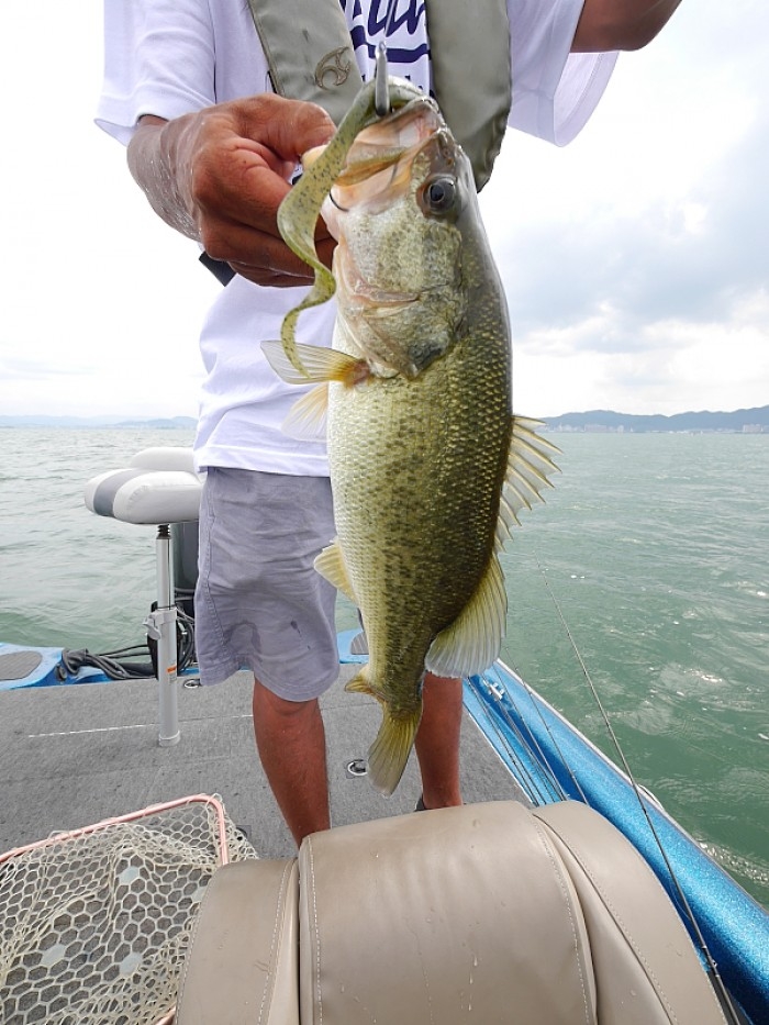 truth ブログ写真 2017/07/11