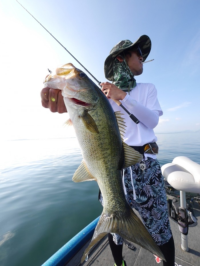 truth ブログ写真 2017/07/12