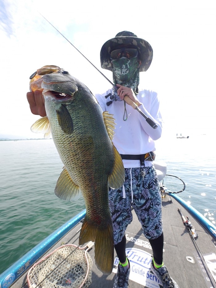 truth ブログ写真 2017/07/12