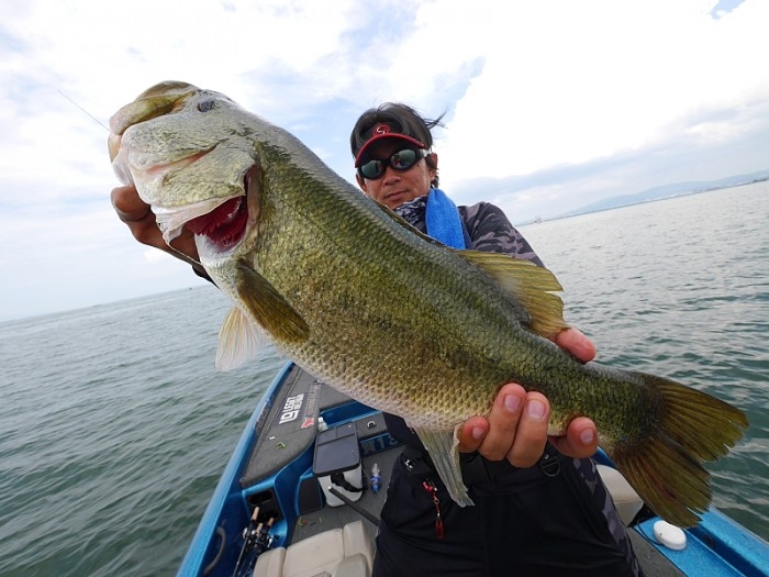 truth ブログ写真 2017/07/12