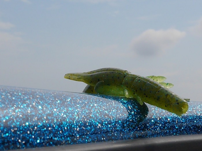 truth ブログ写真 2017/07/12