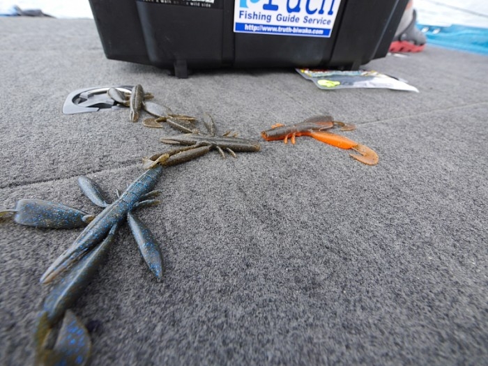 truth ブログ写真 2017/07/12