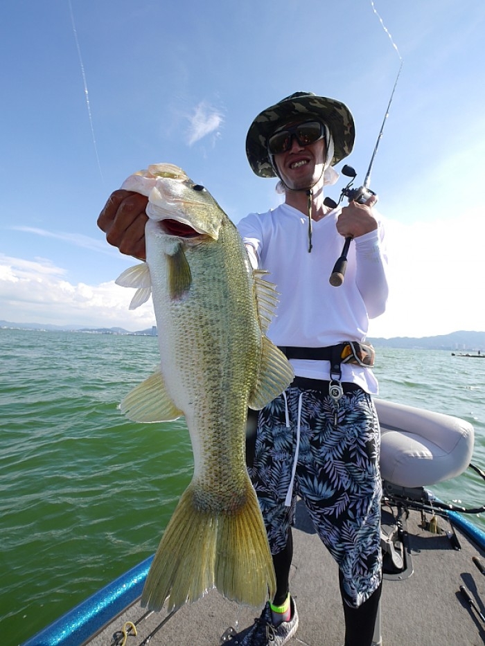 truth ブログ写真 2017/07/12