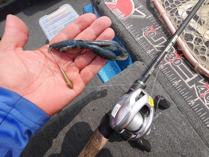 truth  ブログ写真 2017/07/13