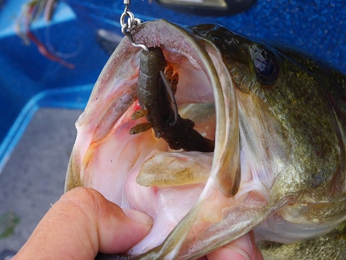 truth  ブログ写真 2017/07/13