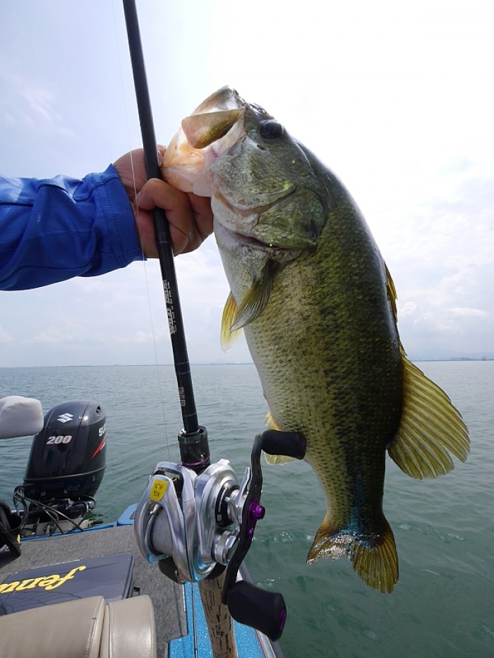 truth  ブログ写真 2017/07/13