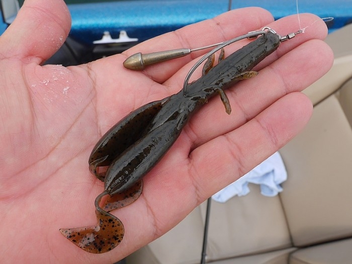 truth  ブログ写真 2017/07/13