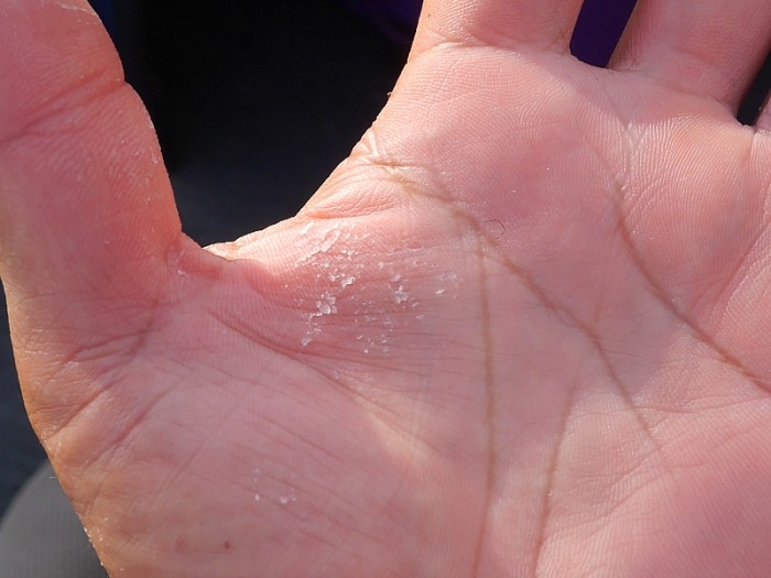 truth  ブログ写真 2017/07/13