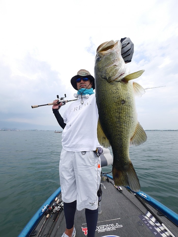 truth  ブログ写真 2017/07/13