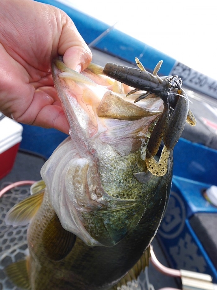 truth  ブログ写真 2017/07/13