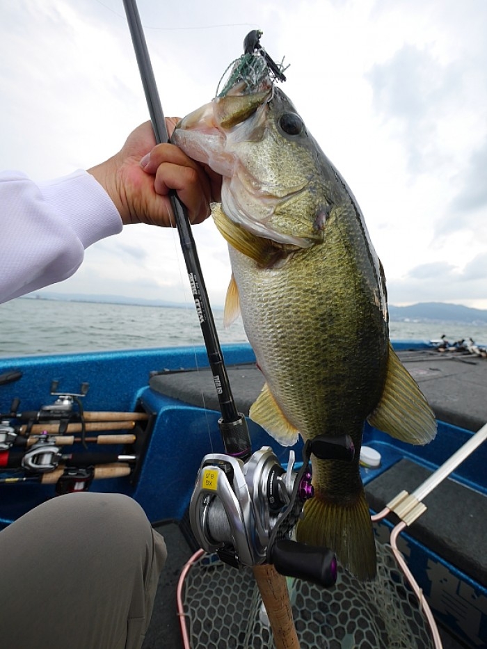 truth  ブログ写真 2017/07/13