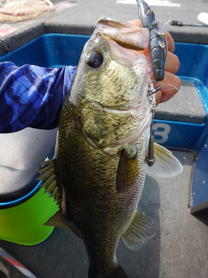 truth  ブログ写真 2017/07/14