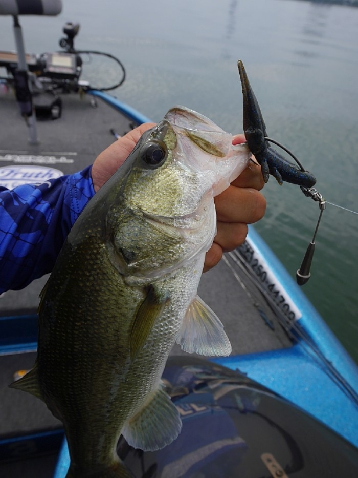 truth  ブログ写真 2017/07/14