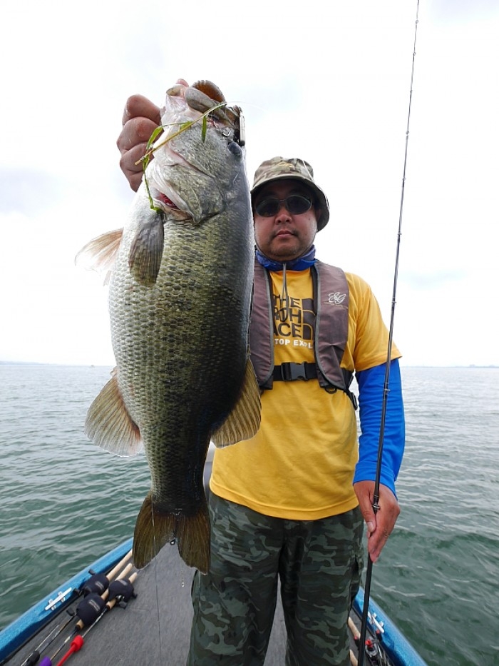 truth  ブログ写真 2017/07/14