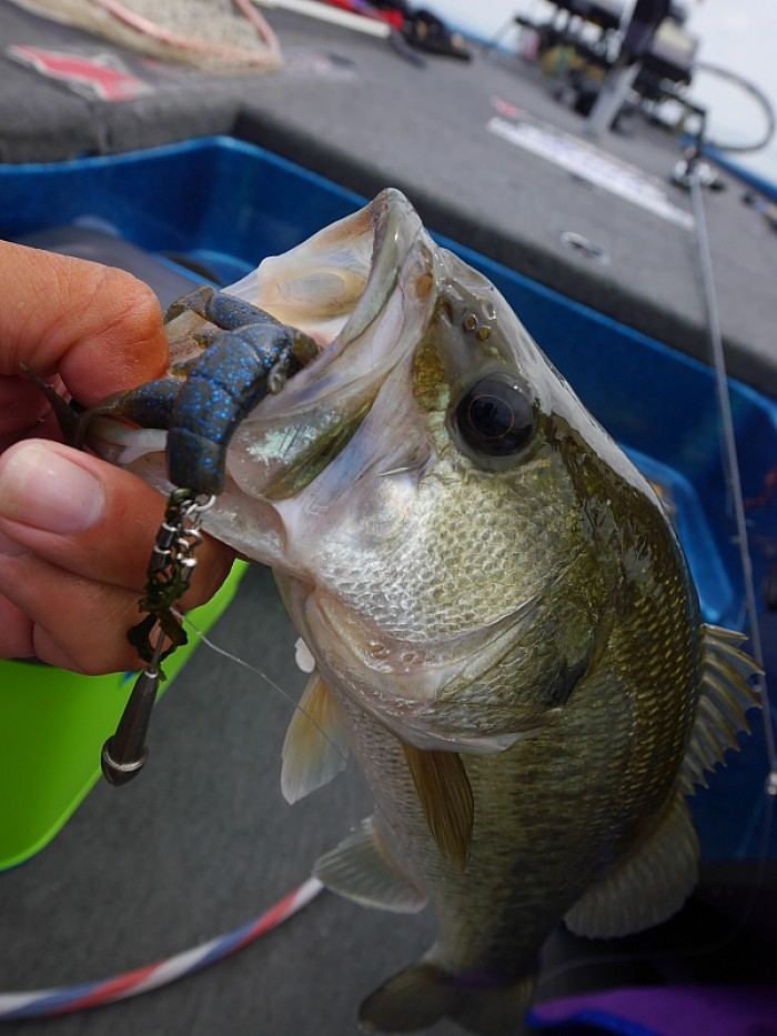 truth  ブログ写真 2017/07/14