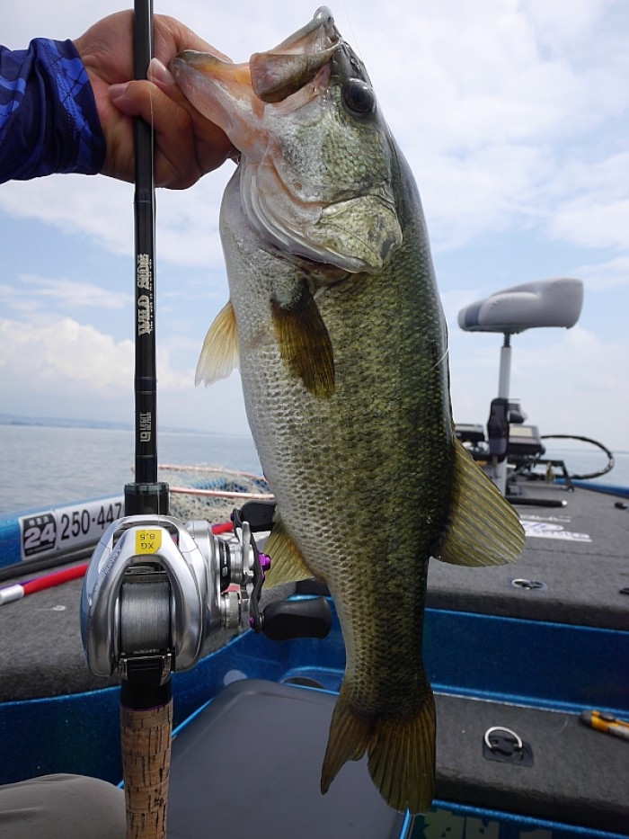 truth  ブログ写真 2017/07/14