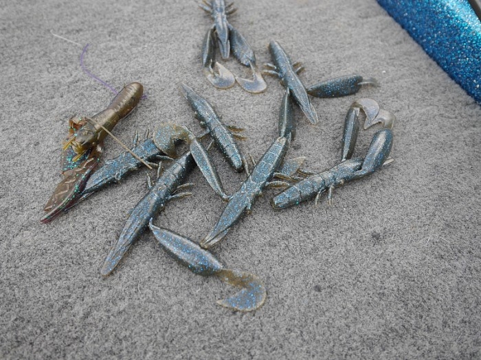 truth  ブログ写真 2017/07/14