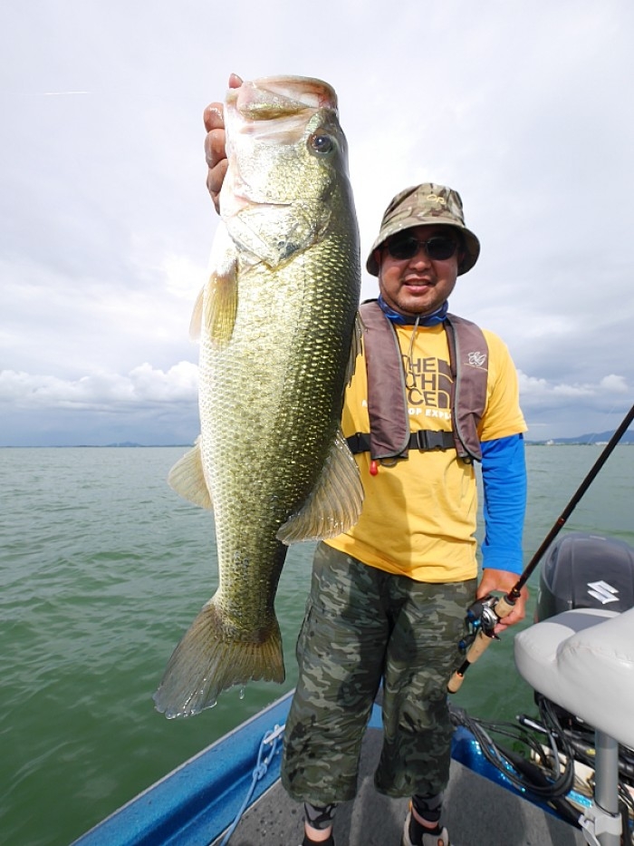 truth  ブログ写真 2017/07/14